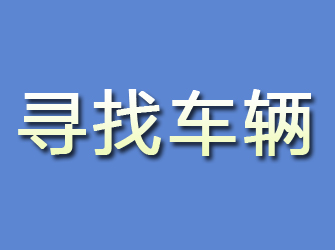 盐池寻找车辆